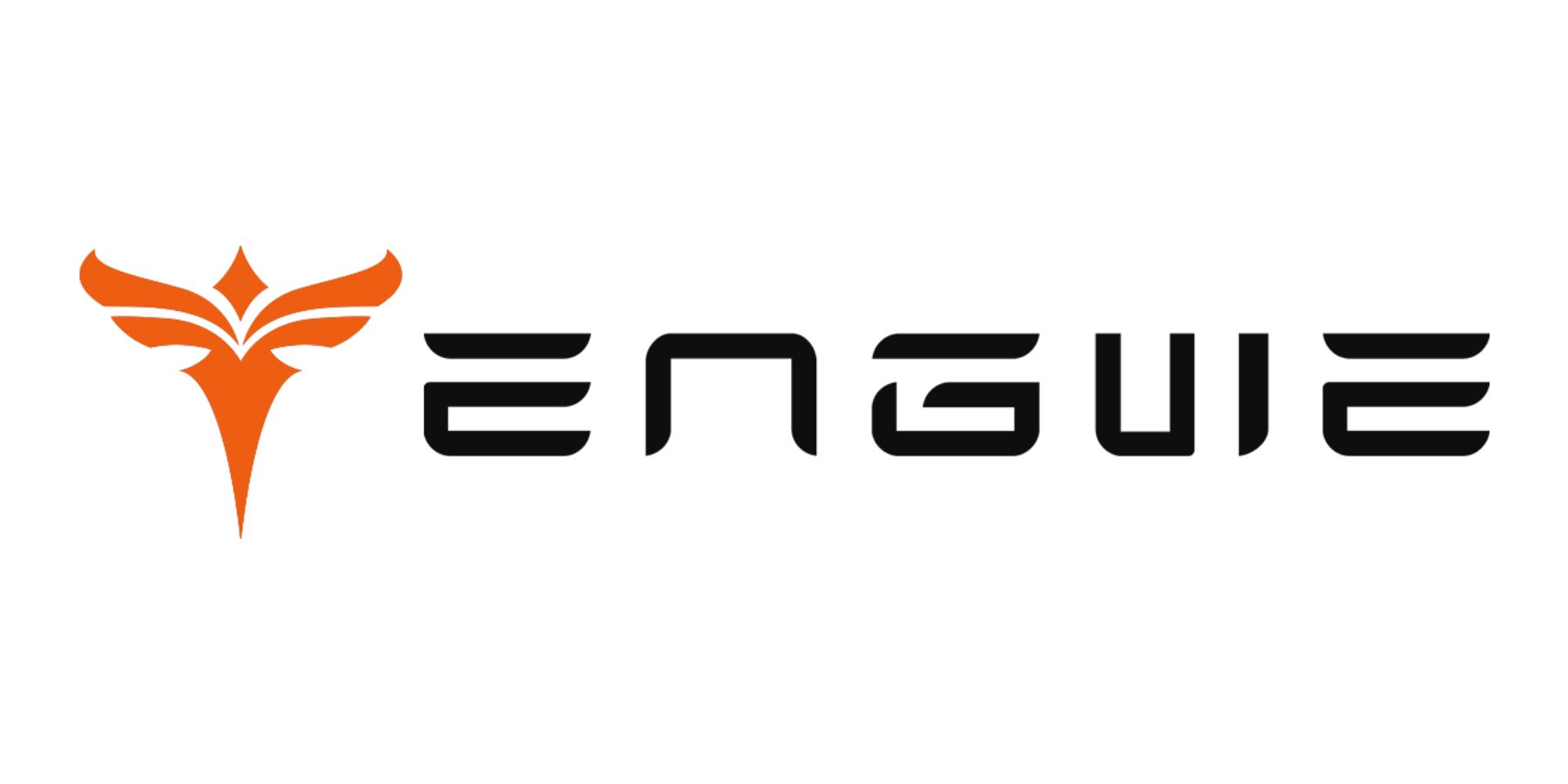 Logo Engwe - AKIA NHA TRANG